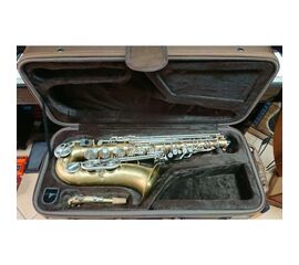 Borgani  Sax Alto professionale del 1982 usato