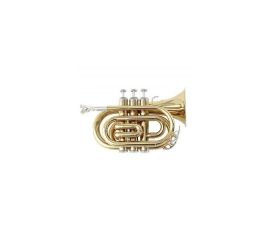 SOUNDSATION STPGD-10P TROMBA POCKET IN SIB