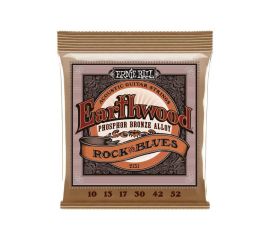 Ernie Ball muta Chitarra Acustica Earthwood Rock & Blues 10 - 50