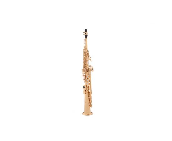 Borgani royal winds sax soprano sib