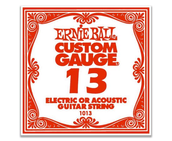 ERNIE BALL P01013