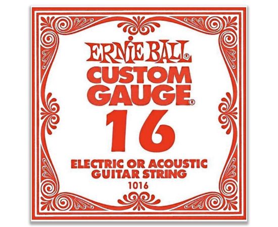 ERNIE BALL P01016