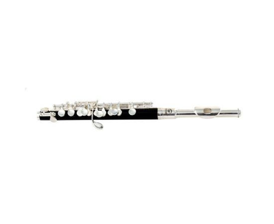 Soundsation SFP-10 Ottavino in Do con finitura Silver Plated