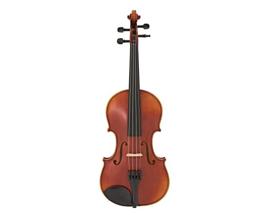 NOLEGGIO VIOLINO