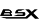 BSX